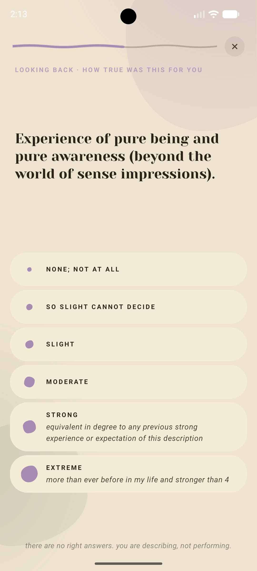 Anima app — a reflection, a validated instrument asking how true an experience of pure being and awareness was